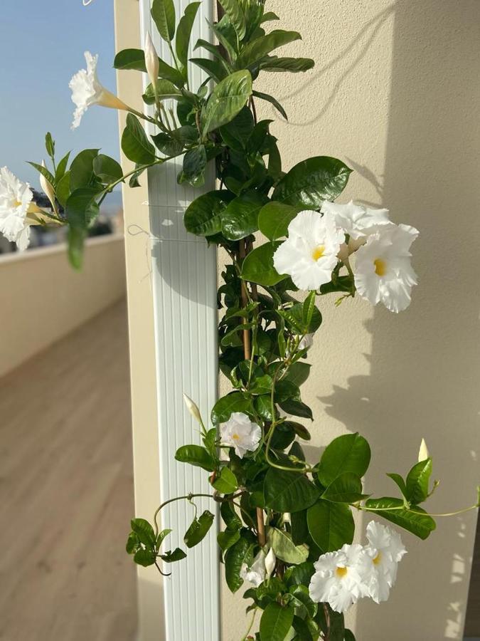 Rossini Penthouse Διαμέρισμα Κάλιαρι Εξωτερικό φωτογραφία